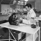 Image for article titled Can technology help us put an end to animal experimentation?